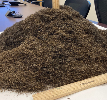 Vai šis ir tas, kā izskatās 1 miljons mirušu odu?